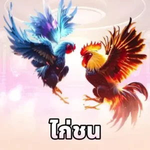 cockfight-th-88club-biz