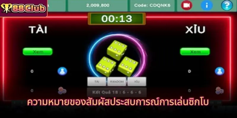 ความหมายของสัมผัสประสบการณ์การเล่นซิกโบ