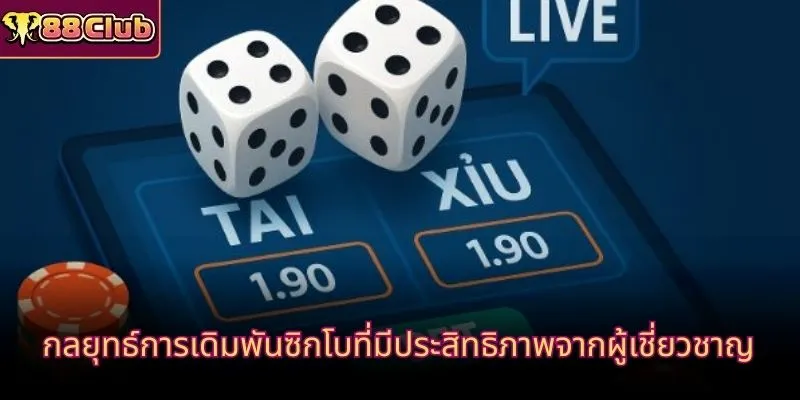 กลยุทธ์การเดิมพันซิกโบที่มีประสิทธิภาพจากผู้เชี่ยวชาญ