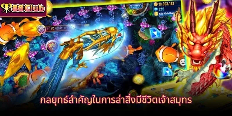 กลยุทธ์สำคัญในการล่าสิ่งมีชีวิตเจ้าสมุทร